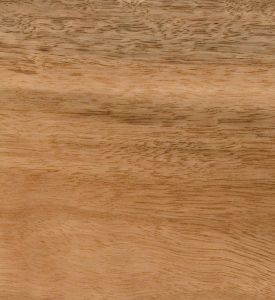 Spotted Gum